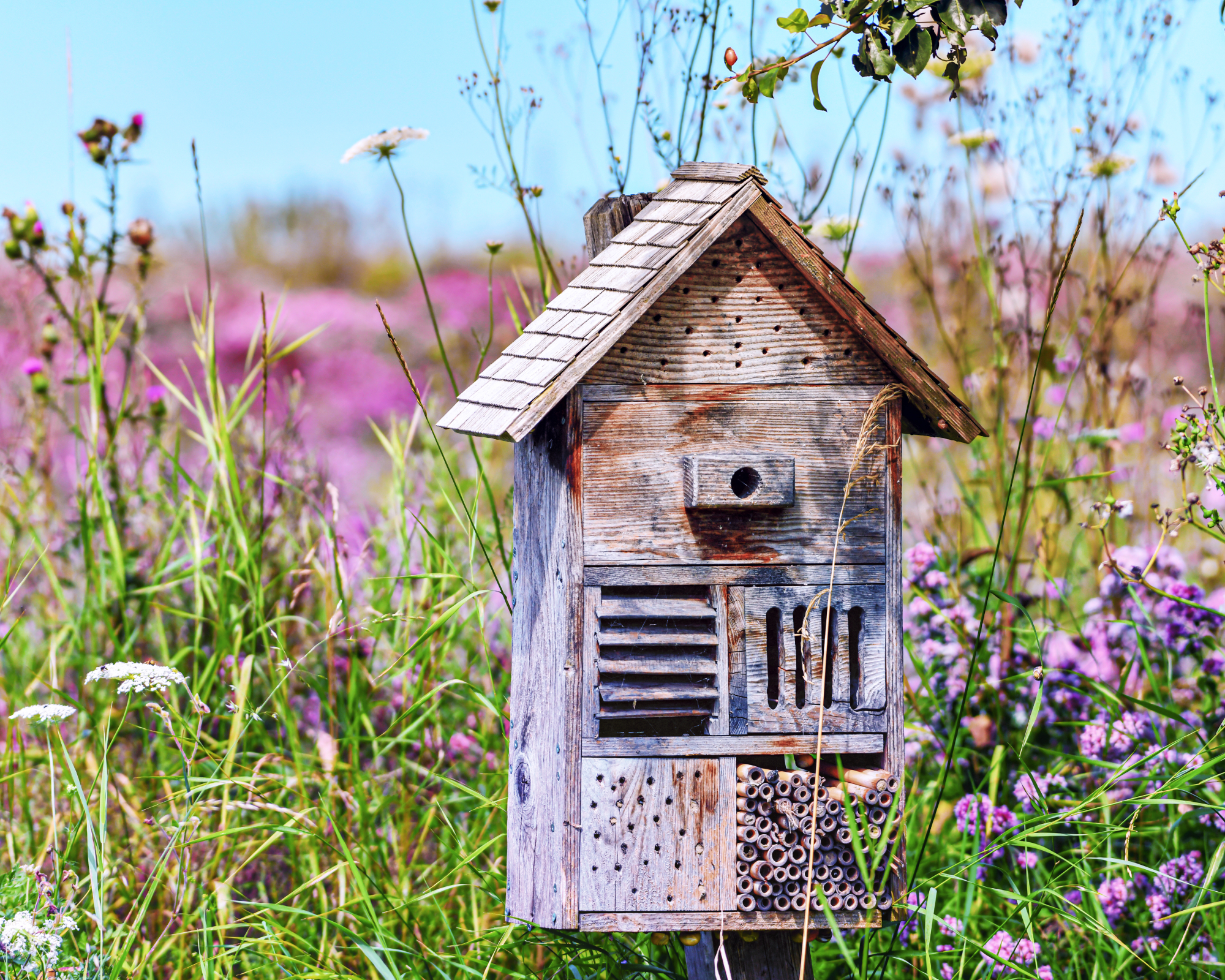 Bug Hotel στο Pollinator Garden
