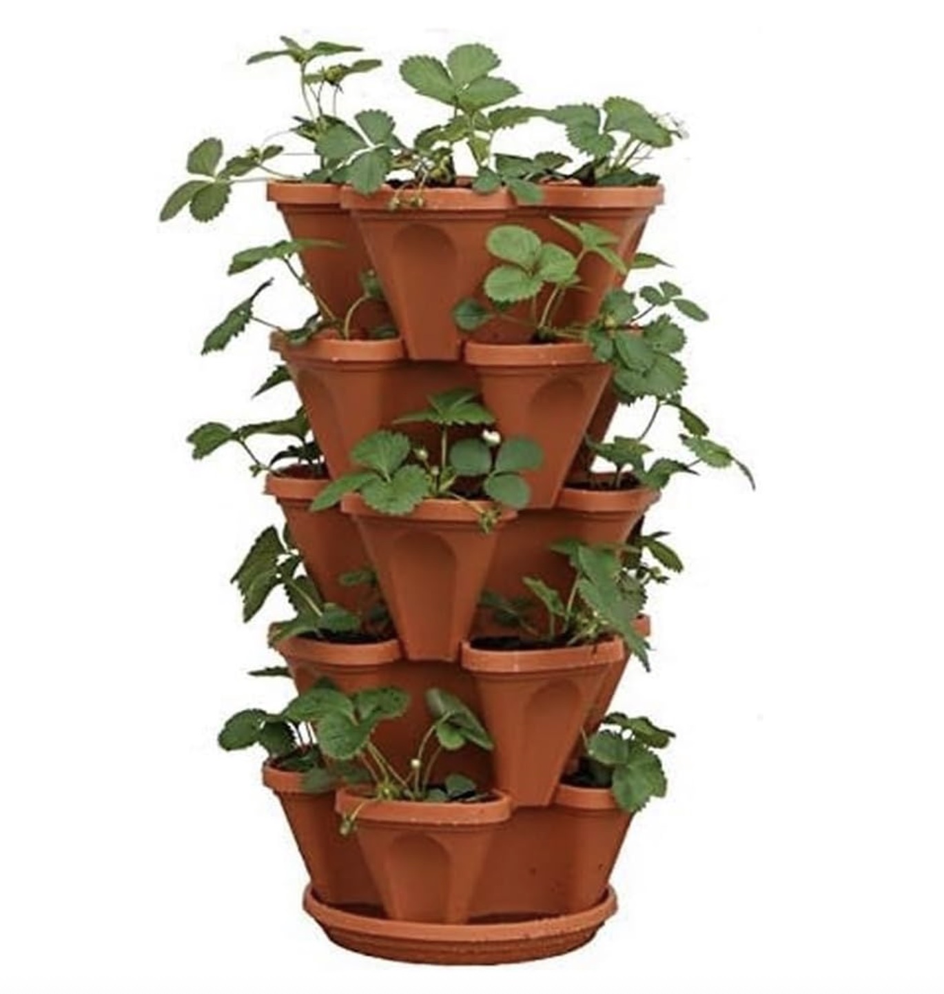 δοχείο Stacker Stacker Strawberry με φυτά