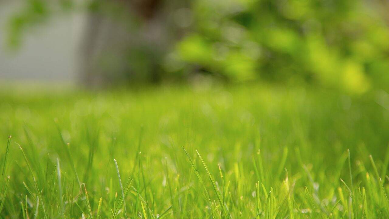 Τι να σταματήσετε τη γονιμοποίηση και πότε 4