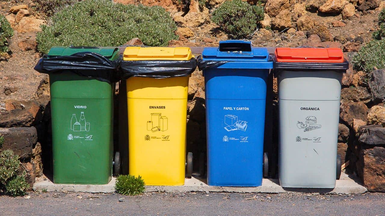 10 τρόποι για να κρατήσετε ρακούν έξω από τον κήπο σας στις 6 Σεπτεμβρίου