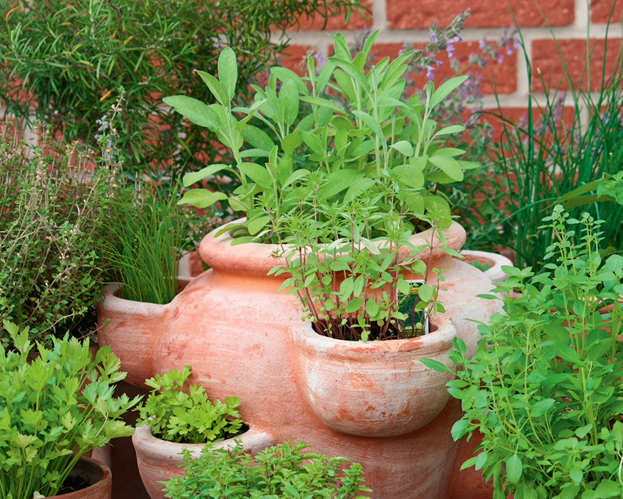 Terracotta κλιμακωτό δοχείο