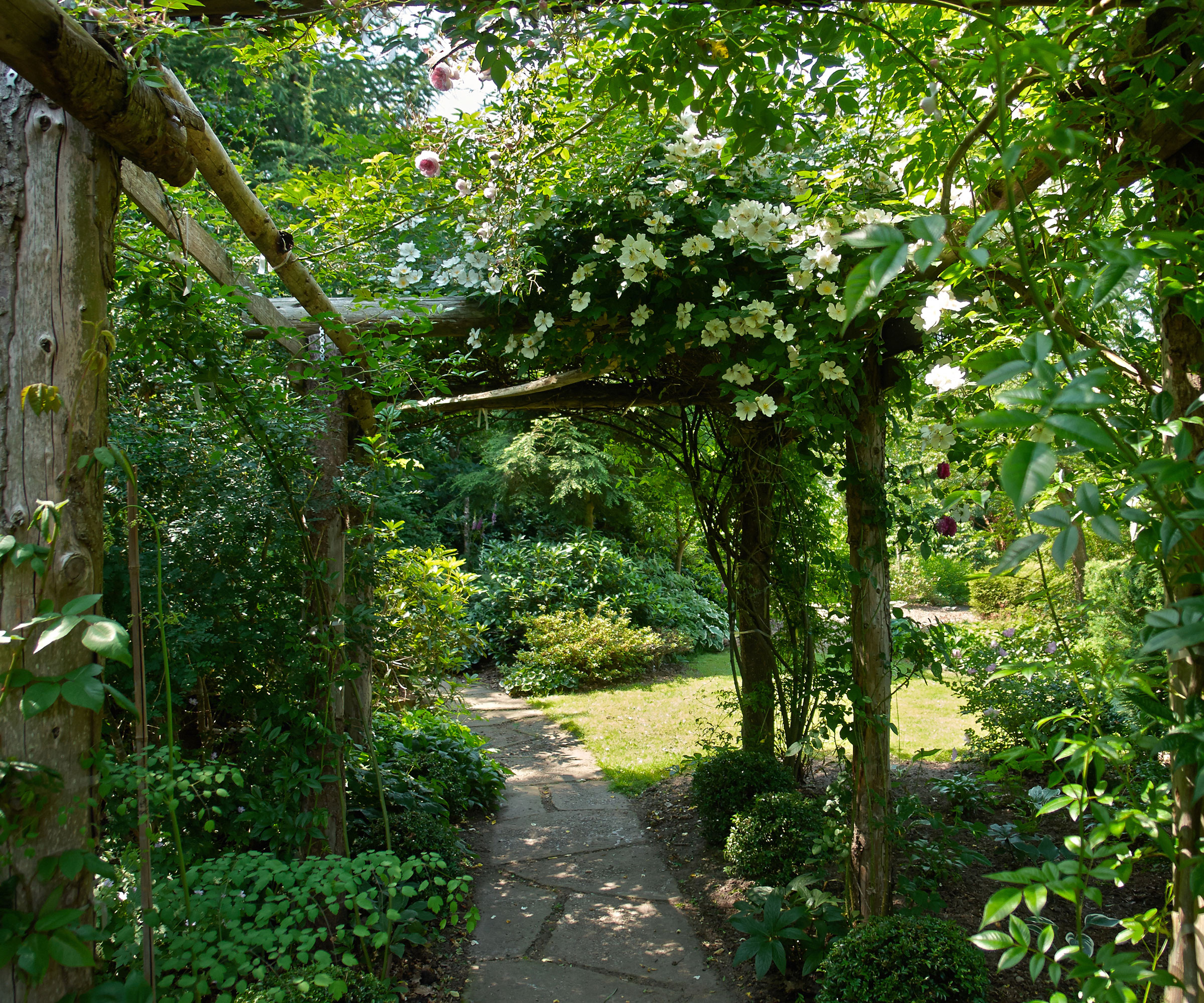 Arbor στον κήπο γεμάτο φυτά